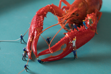 迷你小人 小龙虾 crawfish