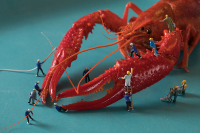 迷你小人 小龙虾 crawfish