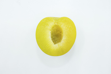 白色背景下切开的绿色李子