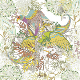 争奇斗艳的鸟类与茂密植物背景，成人填色画