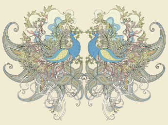 对称华丽孔雀与蜷曲尾羽，成人填色画