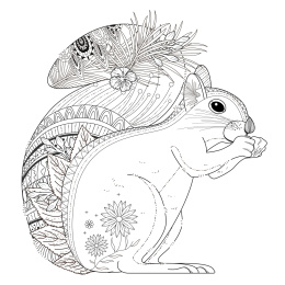 啃食果实的松鼠成人填色画