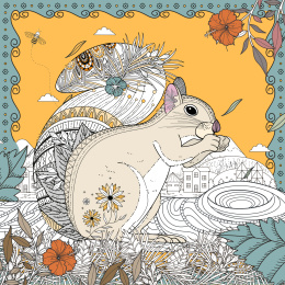 啃食果实的松鼠与花草装饰边框，成人填色画