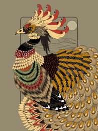 有着华丽尾羽的孔雀，成人填色画