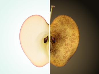 护肤保养及皮肤老化的概念对比图，用新鲜苹果以及氧化后苹果来表现护肤重要性的意象概念插图