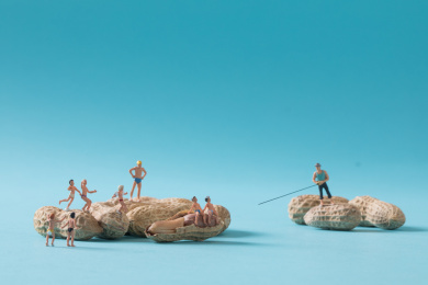 荷包豆 肾豆 花豆 神豆 非斑马豆 热带雨林 跳舞 迷你小人 缩微摄影