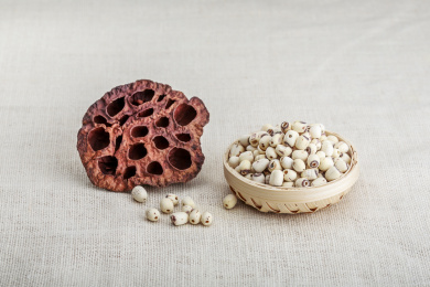 莲子 莲子 莲蓬 莲子肉