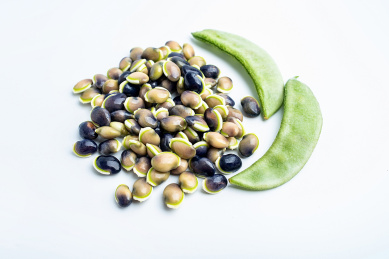 新鲜扁豆子 扁豆 短豇豆