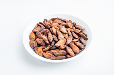 中药材-黄皮核 黄皮子