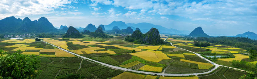广东阳春喀斯特地貌，乡村稻田秋色