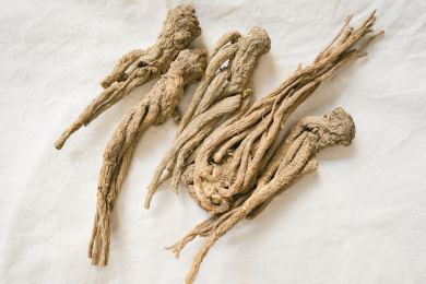 党参特写照片 干燥根