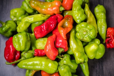 红绿尖椒照片 尖椒