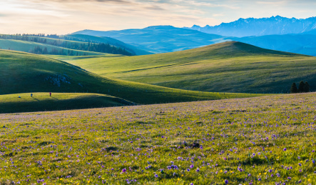 空中花园之喀拉峻大草原