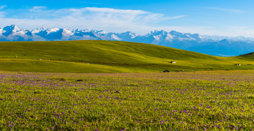 空中花园之喀拉峻大草原