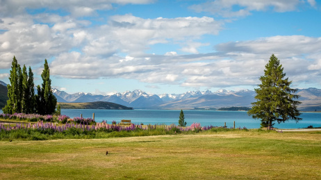 新西兰蒂卡波湖(lake tekapo)