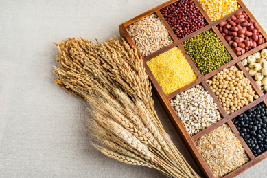 五谷丰登的粮食/中国养生粥常用谷类和豆类