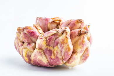 新鲜红百合鳞茎 百合肉