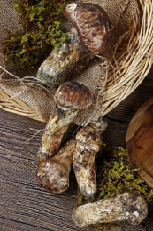 云南新鲜松茸