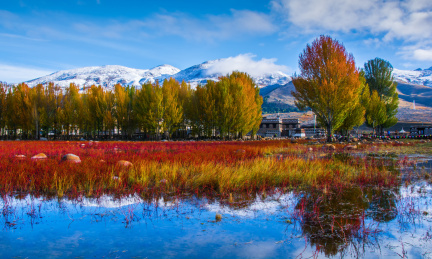 四川稻城红草地风光