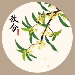 秋分桂花插图