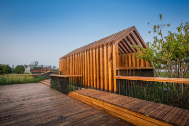 湿地公园建筑 屋顶