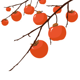 柿子矢量素材插画 柿子