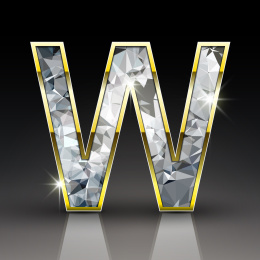 简单黑色立体设计,英文字母w