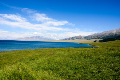 赛里木湖蓝天白云青草