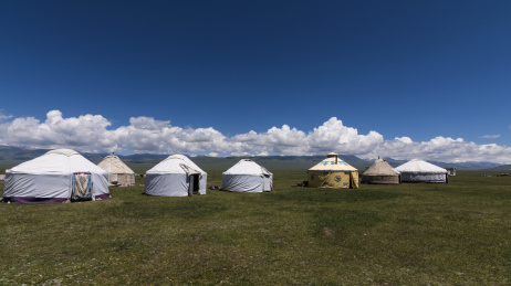 草原上的蒙古包 草原