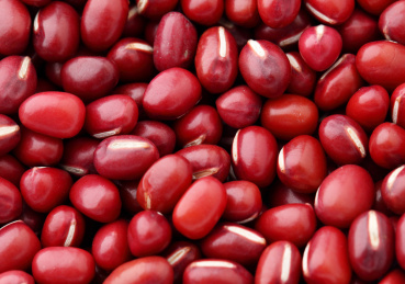 adzuki red bean close up