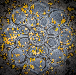 洛阳白马寺地面莲花雕塑