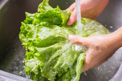 用清水洗蔬菜 生菜