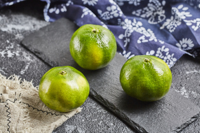 新鲜的绿皮橘子  丰收