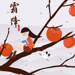 霜降插画设计