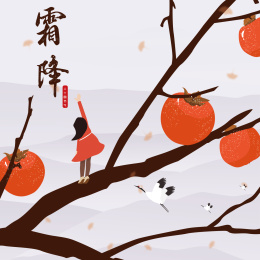 霜降设计素材