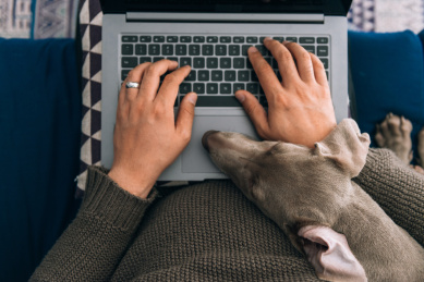 俯拍主人在家办公宠物陪伴