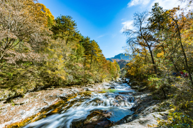 秦岭国家森林公园太白山鳌山黄柏塬风景区秋天景色