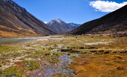 正在开发中的西藏山南地区 色布荣山谷的雪山河流美景