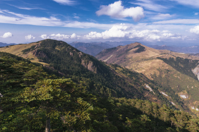神农架景区神农顶自然风光