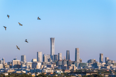 中国北京朝阳区建筑群城市风光