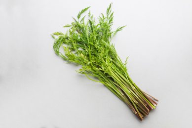 新鲜美味的野芹菜 野芹菜