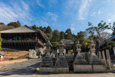 日本奈良东大寺景观