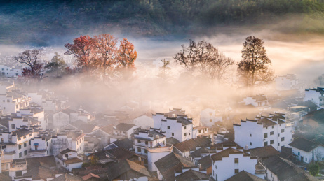 枫林尽染，晨雾炊烟