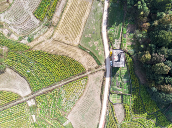 航拍公路穿过树林