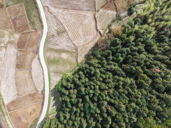 航拍公路穿过树林