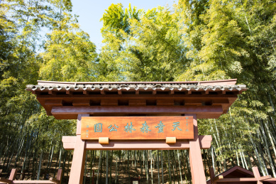 天童森林公园大门 公园