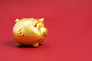 红色背景上面的金猪与中国结背景素材