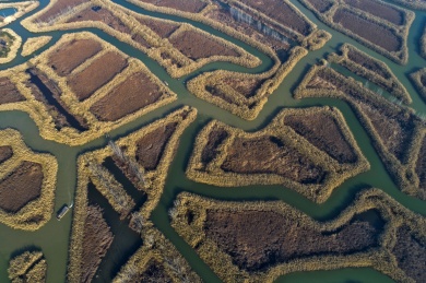 中国江苏省洪泽湖水上芦苇迷宫