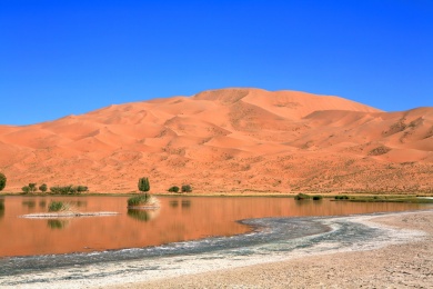 中国内蒙古巴丹吉林沙漠腹地的镜湖和湖边的植物