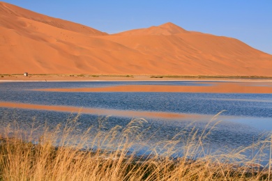 中国内蒙古巴丹吉林沙漠腹地的镜湖和芦苇